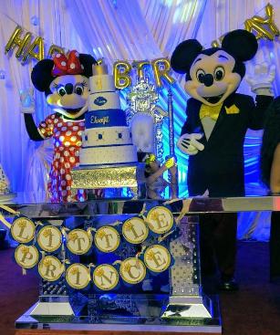Hire 2 mascot characters for singing happy birthday by your child's cake in Houston.