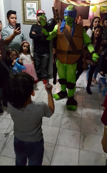 This superhero turtle is available to rent for your childs Houston birthday party to do superhero training like the real thing.